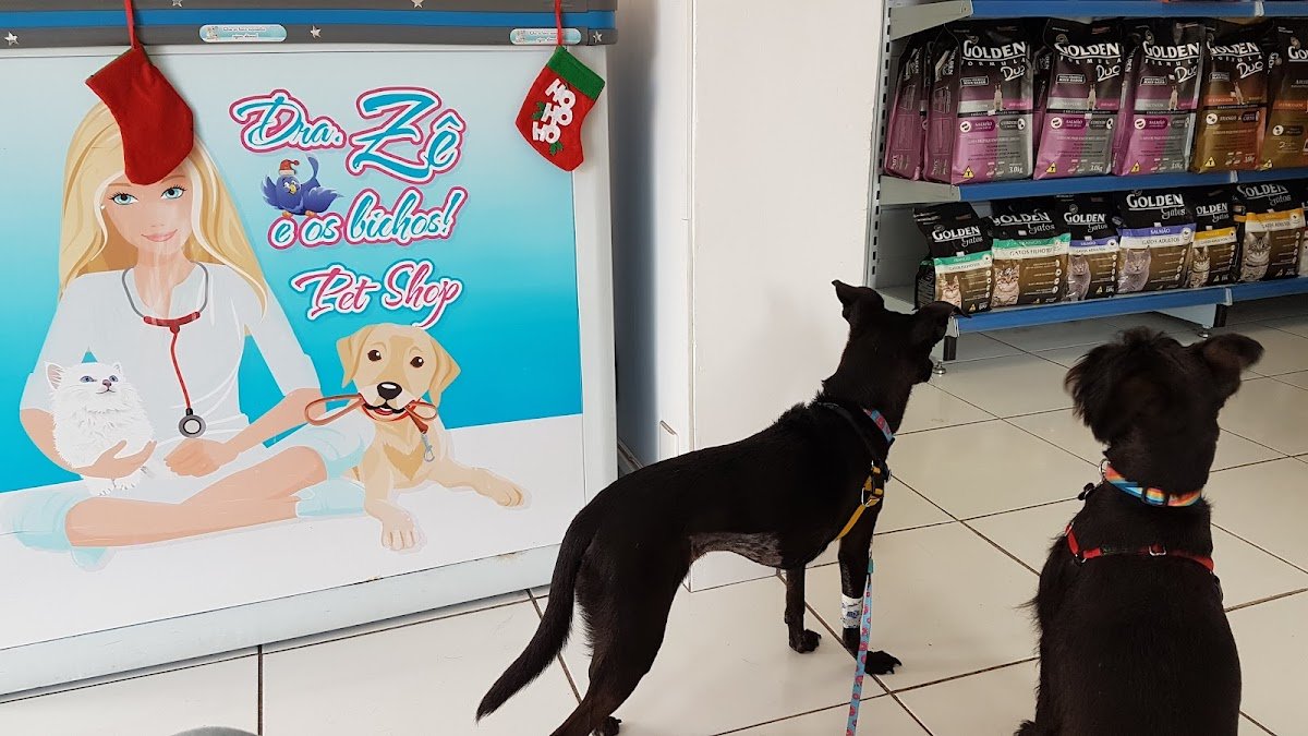 Dra. Zê e os Bichos Pet Shop