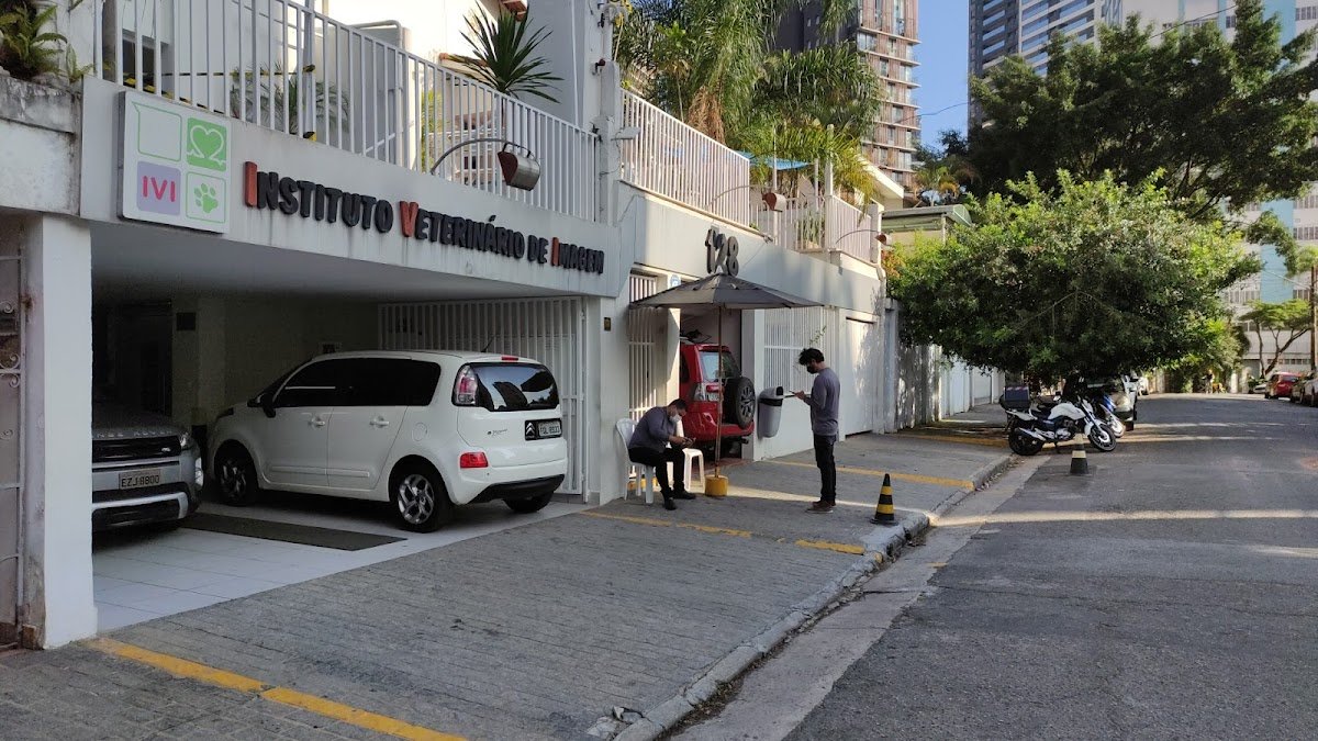 IVI - Veterinary Institute of Image