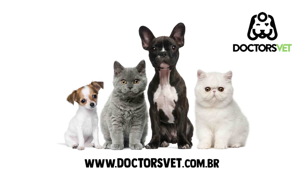 Doctors Vet