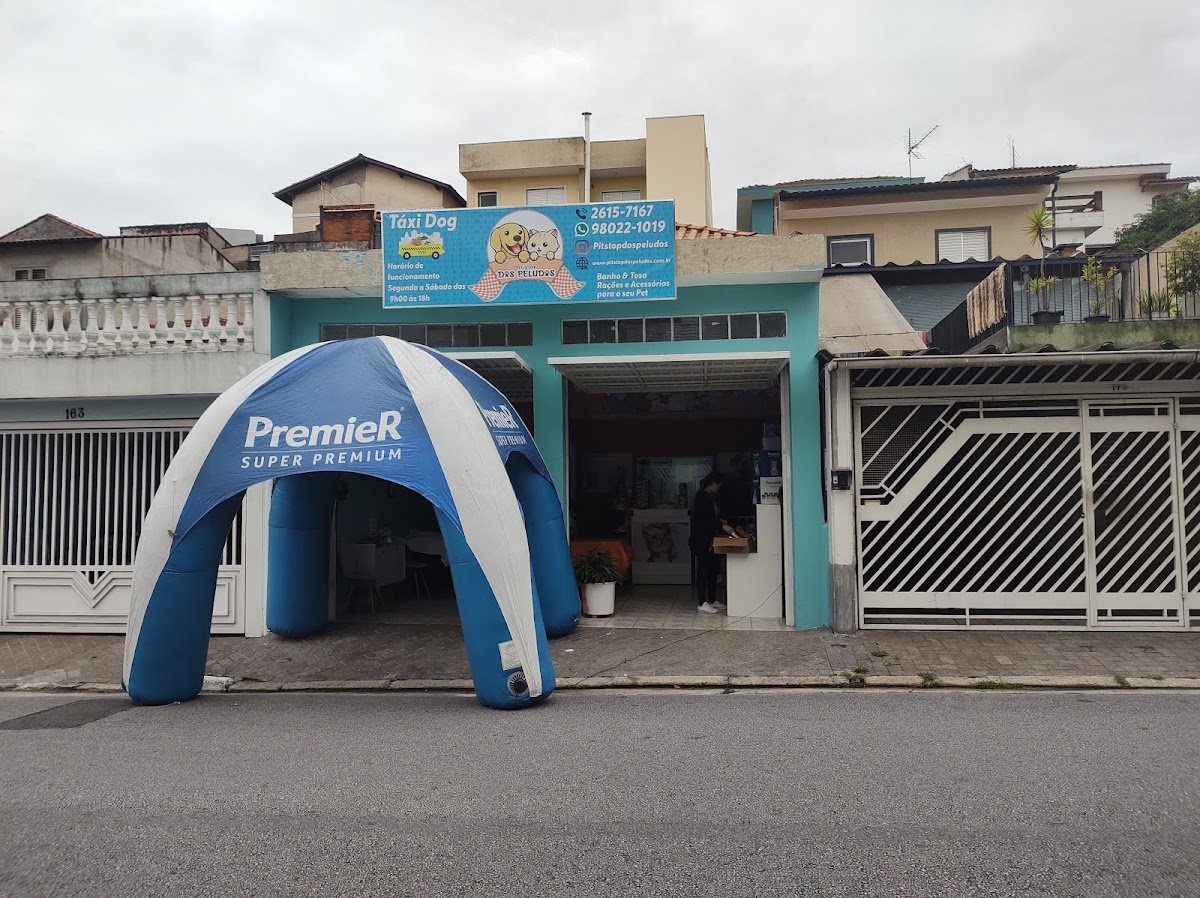 Pit Stop dos Peludos