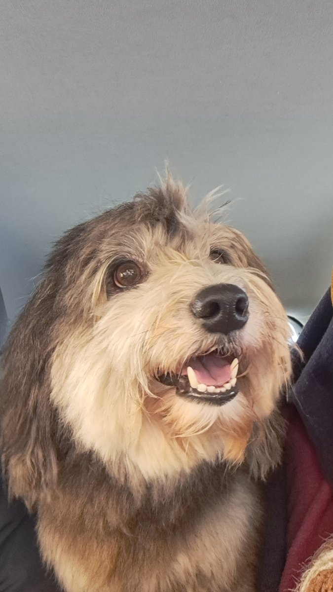 Tribo do Banho - Sede Principal