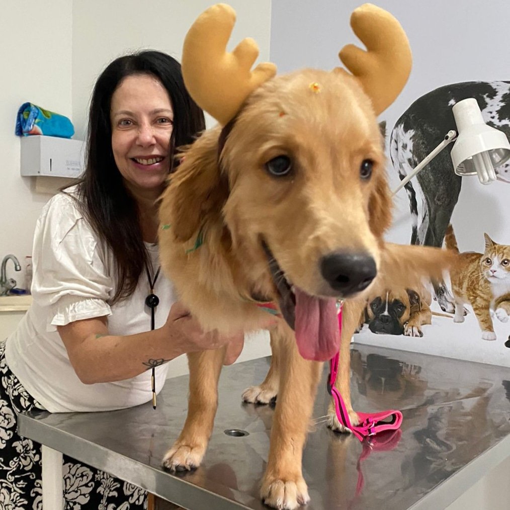 Veterinária Dra Elaine Peres de Seixas