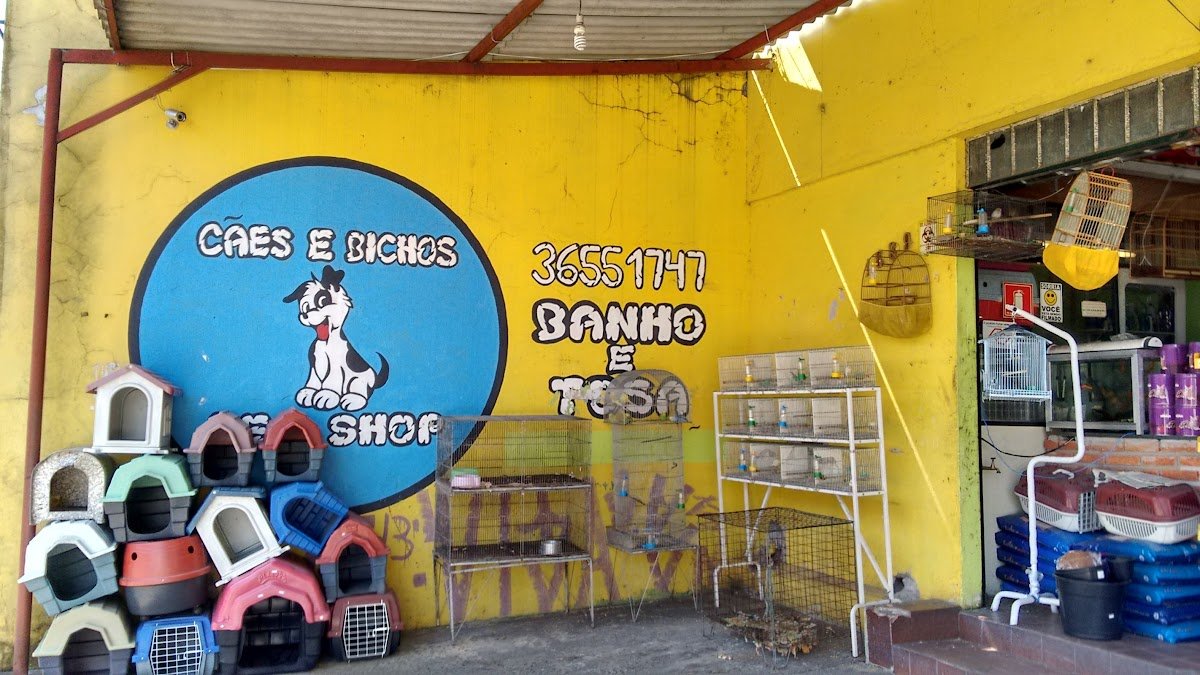 Cães e Bichos Pet Shop