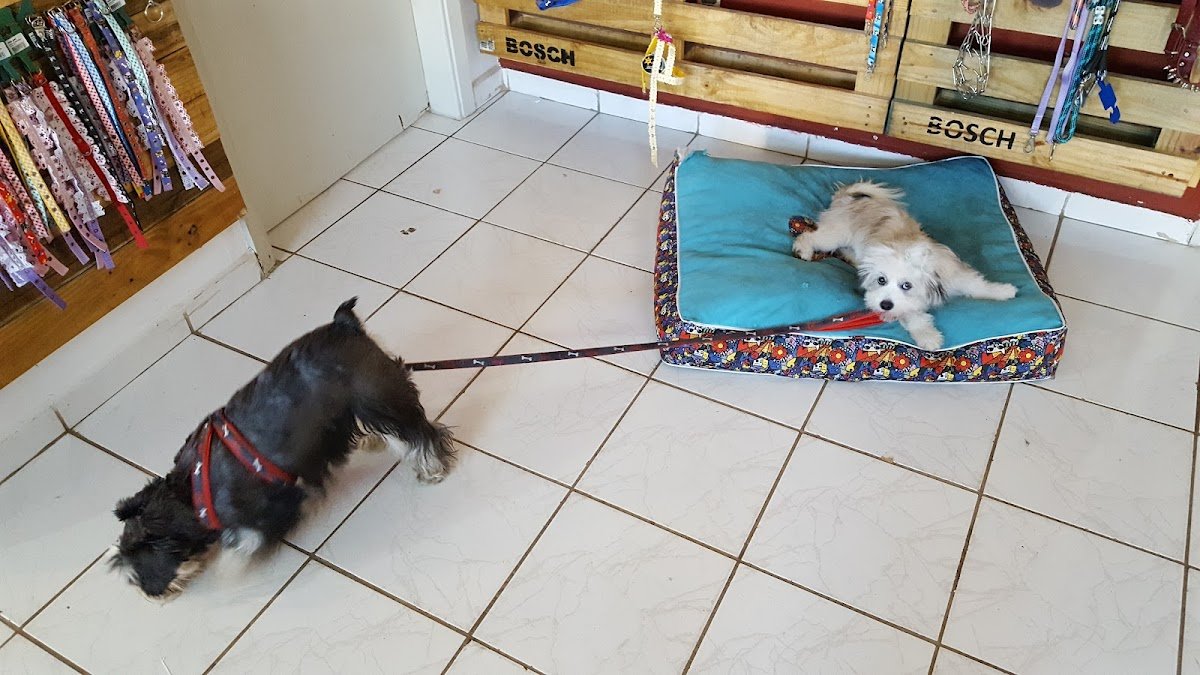 Casa Animal Pet Shop