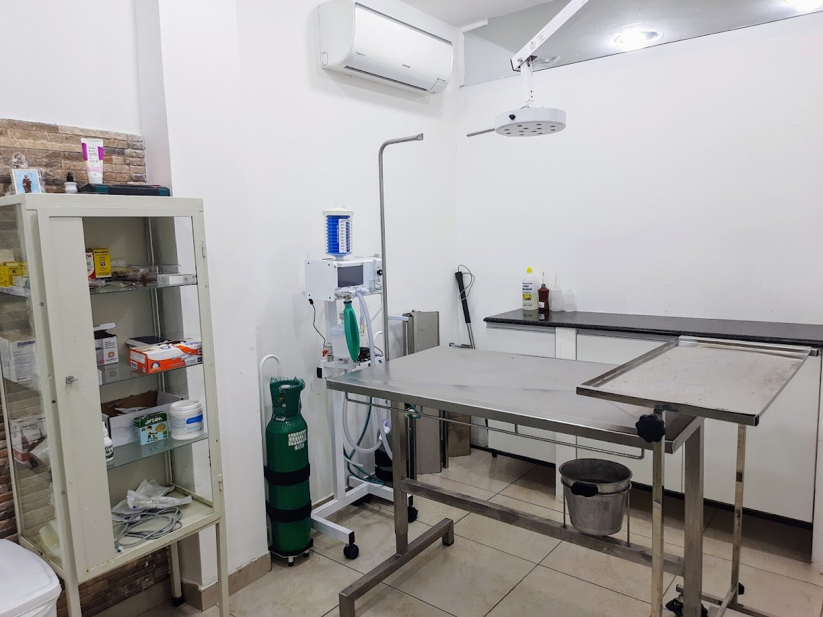 Vet Dog Clínica Veterinária e Pet Shop