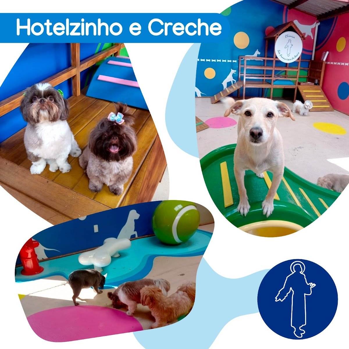 São Francisco de Assis Pet Shop