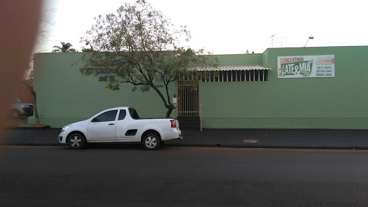 Late, Mia & Cia - Pet Shop