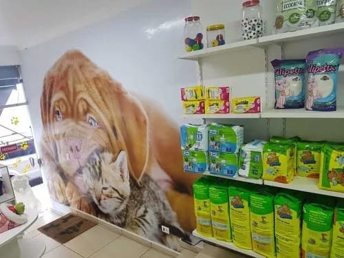 Pet Shop Lucky
