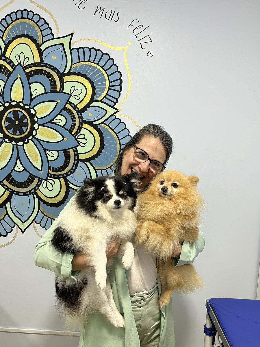 Clínica Veterinaria Cães e Gatos