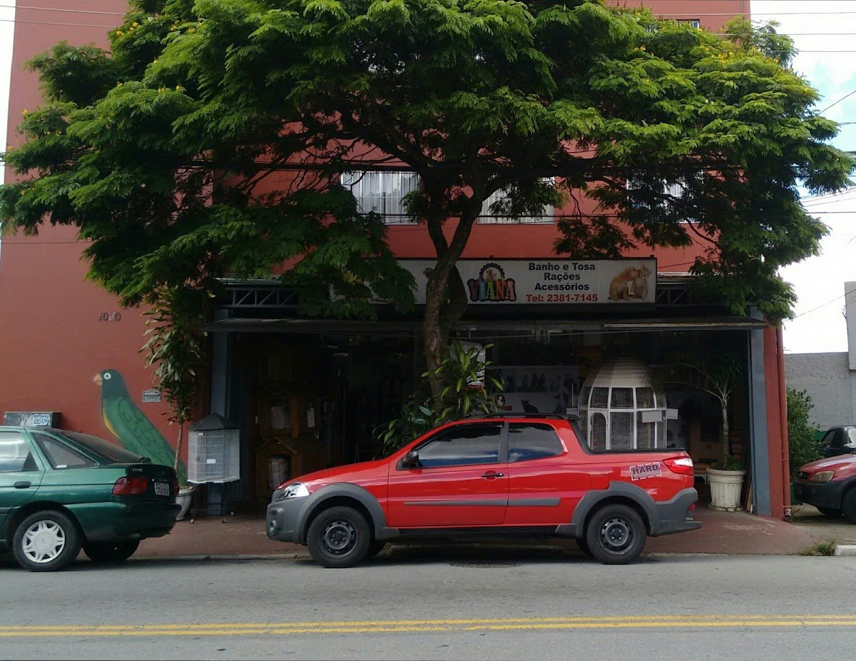 Pet Shop entre bichos