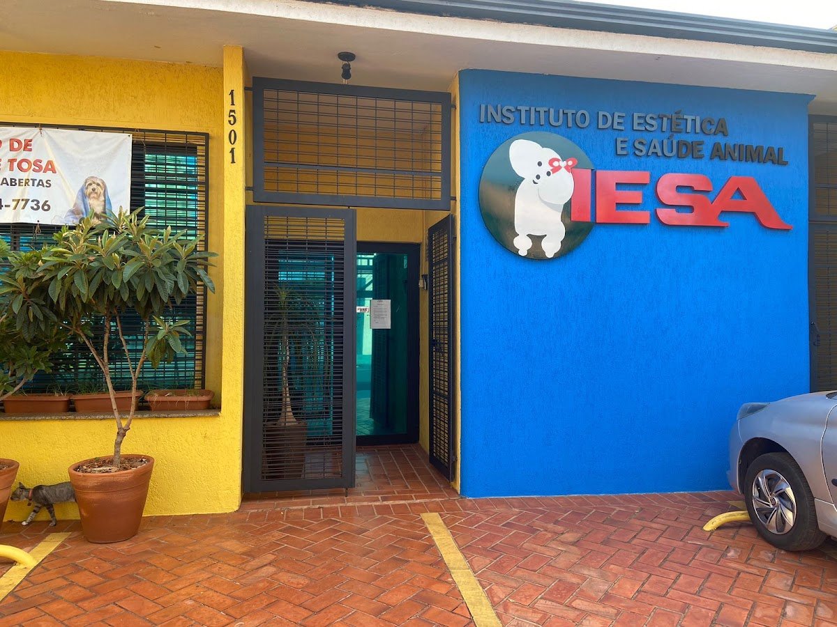 Curso de banho e tosa Ribeirão Preto - Escola de Banho e Tosa IESA