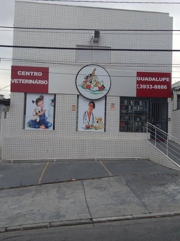 Guadalupe Veterinários