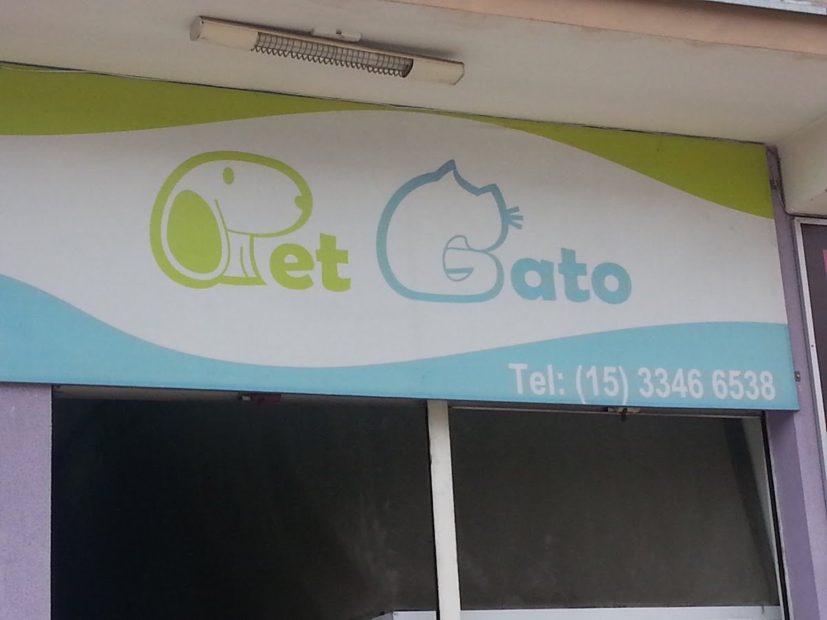 Pet Gato