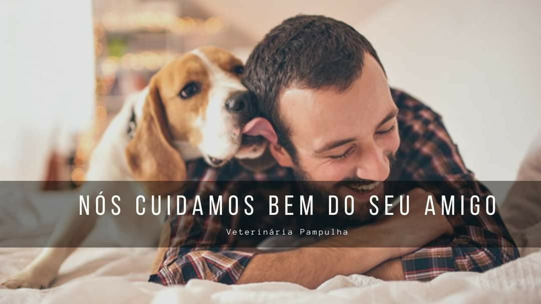 Banho e Tosa Snoopdog