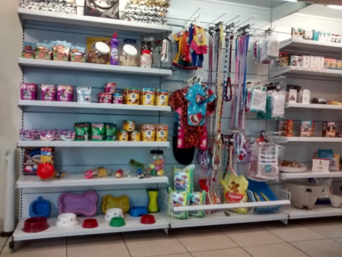 Reino Animal Clínica Veterinária