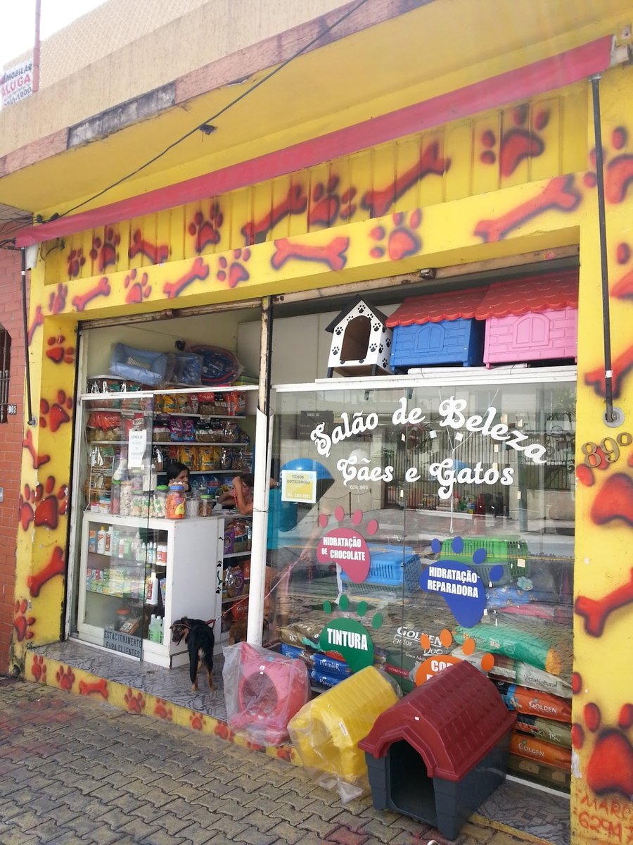 Salão de Beleza Cães e Gatos