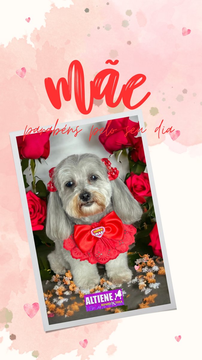 Altiene banho e tosa