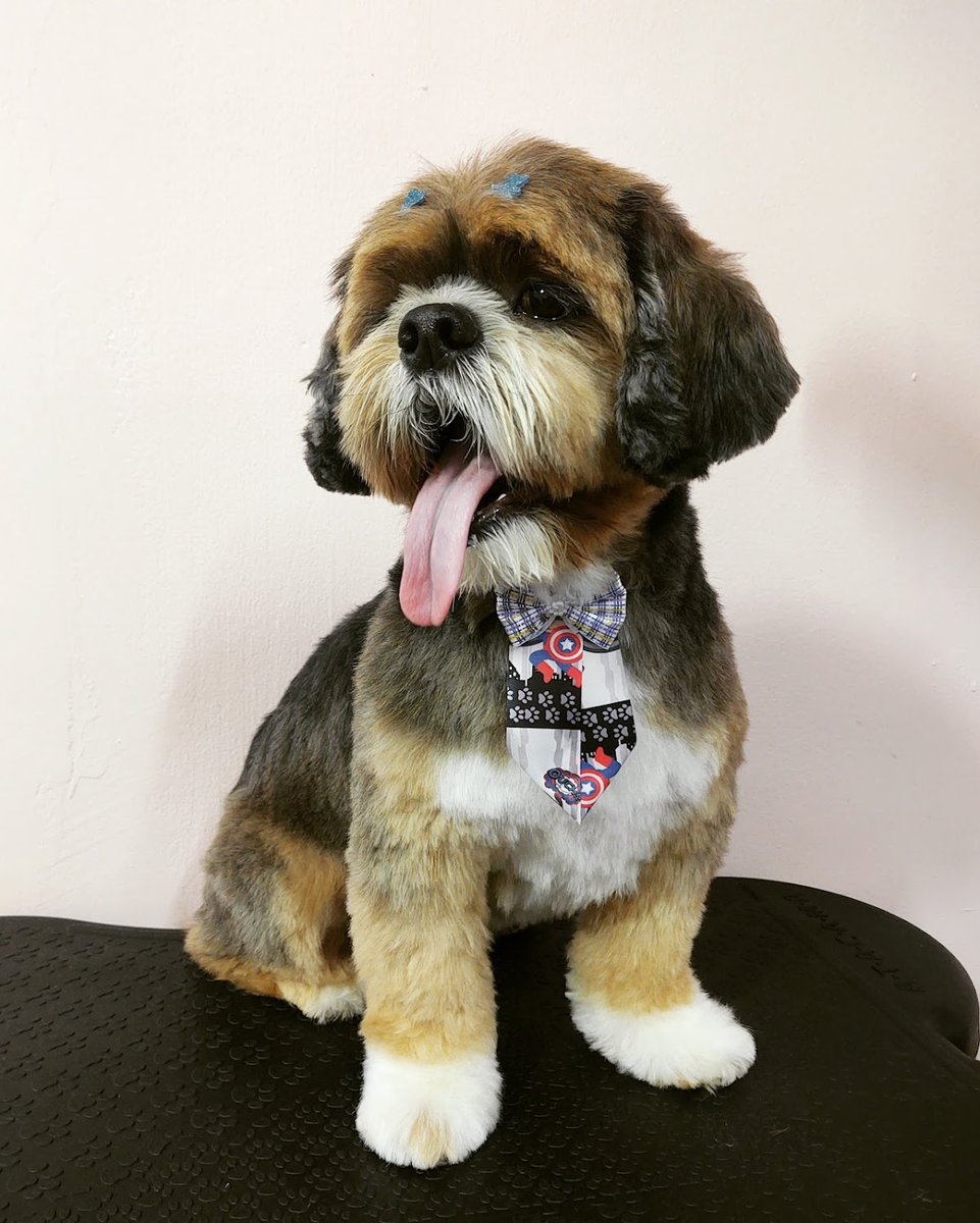 Casinha de Banho - Jundiaí/SP