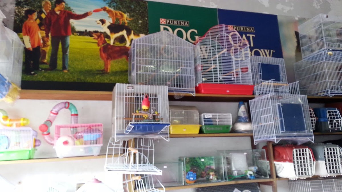 Job's Pet shop