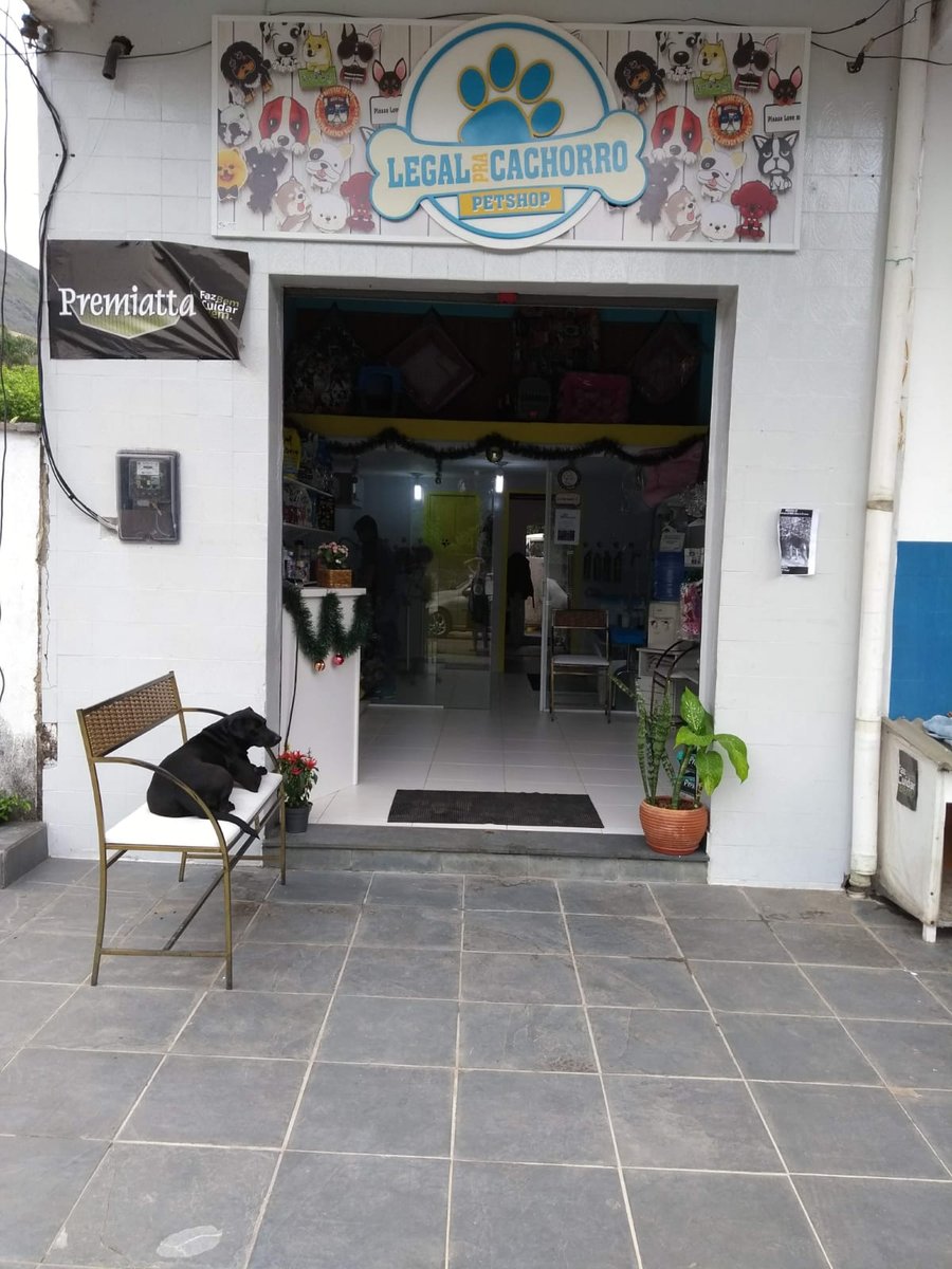 Legal pra Cachorro