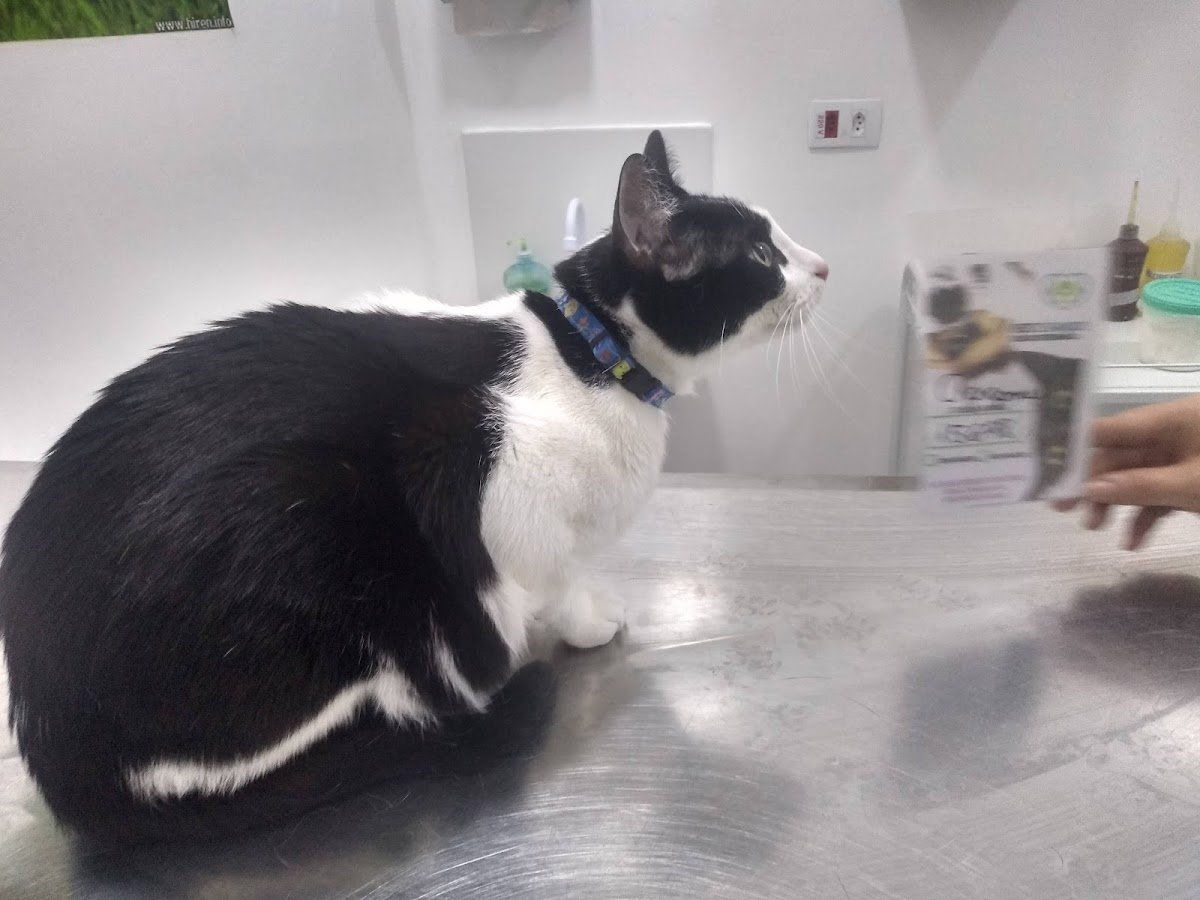 Vet dos Anjos - Clínica Veterinária