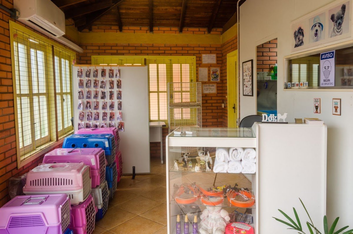 Pet Shop Bom Pra Cachorro