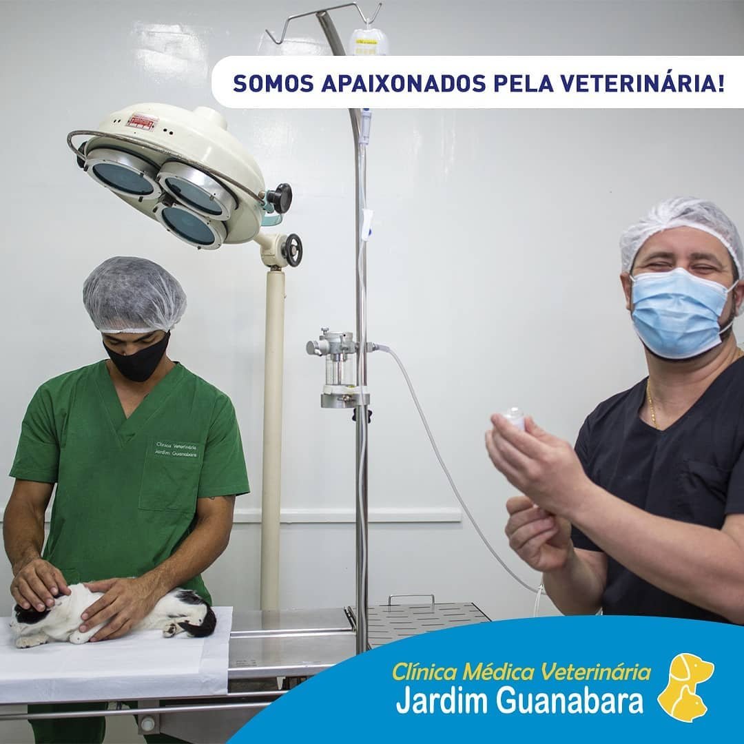 Clinical Veterinary Jardim Guanabara