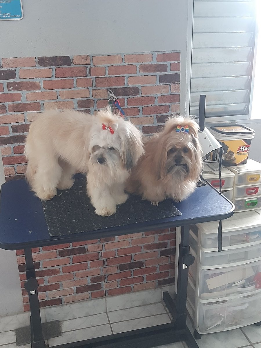 TAUANA BANHO E TOSA ITAPEVI JANDIRA BARUERI COTIA SÃO PAULO