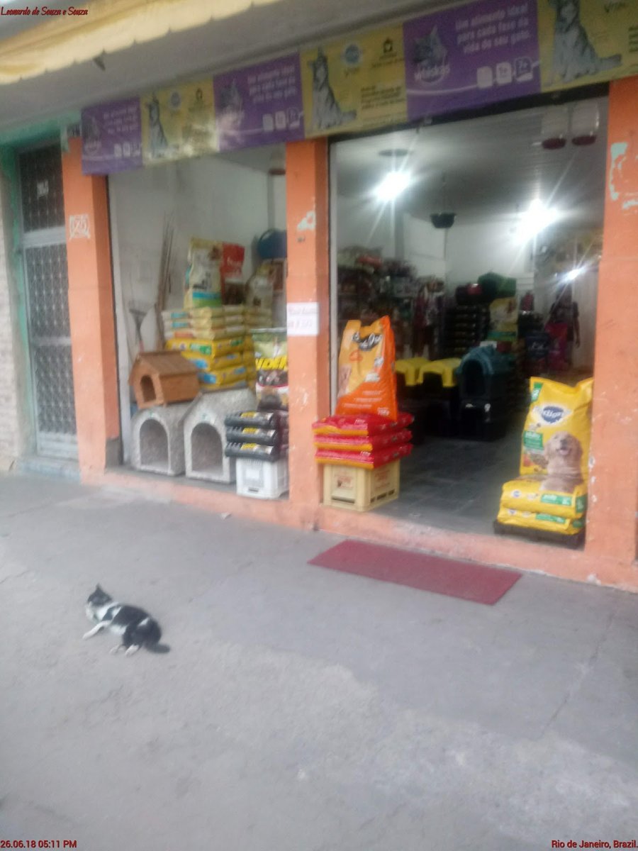 Facedog Pet Shop