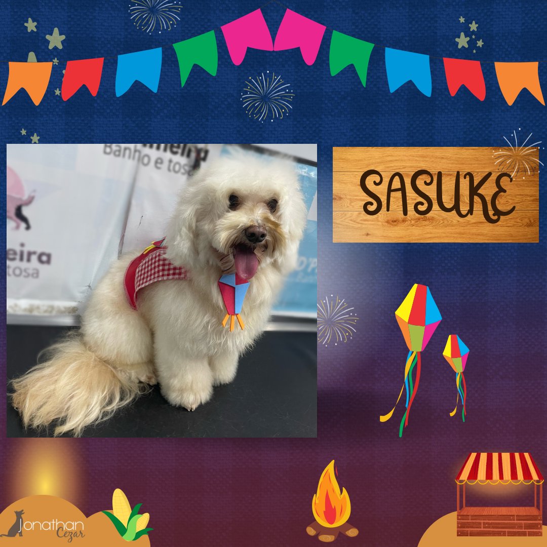 ᒍonathan Cezar - Banho & Tosa! 🐾