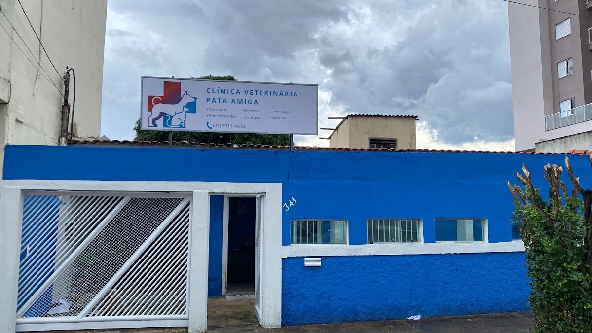 Big Friend Clínica Veterinaria