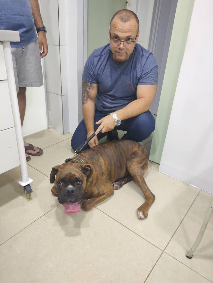 VETERINÁRIO DR VINICIUS