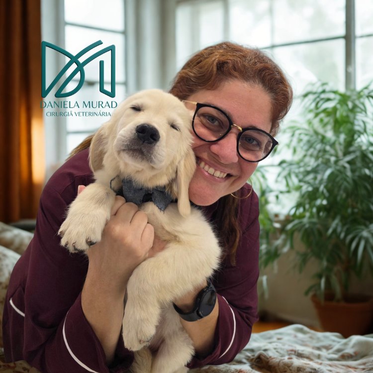 Veterinária Sapecão