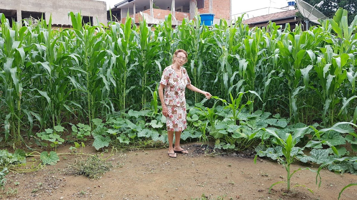 Pet Shop Bolinhas de Sabão