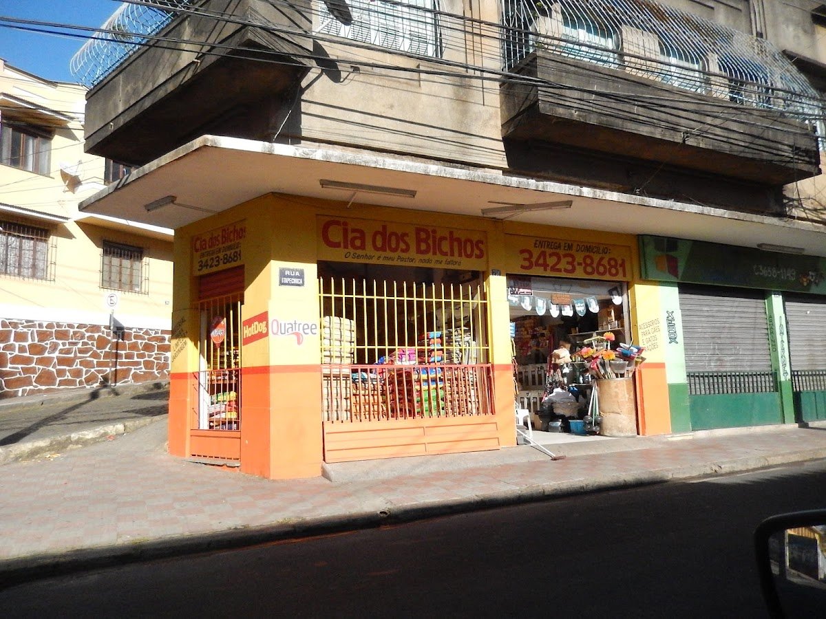 Na Companhia dos Bichos