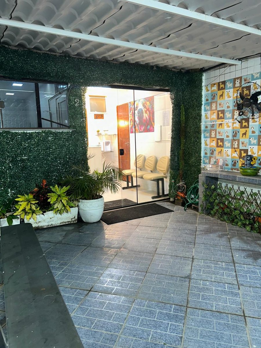 Veterinária Bem Estar Animal