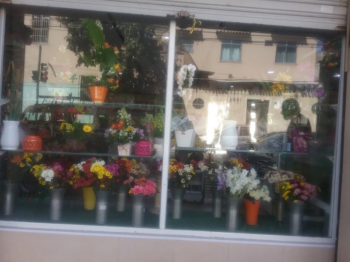 Floricultura Cachambi