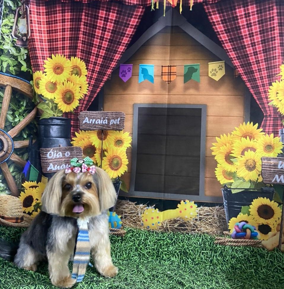 Barber Pet SimaraSilva