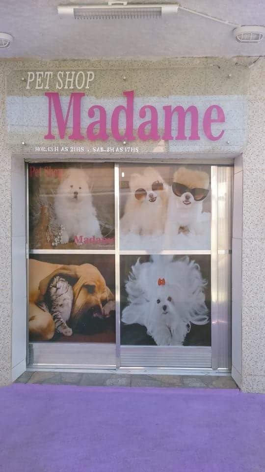 Pet shop Madame