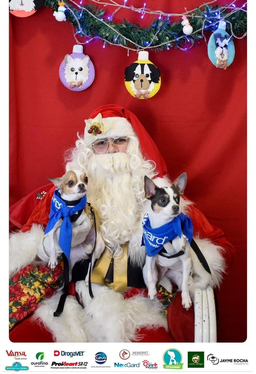 CENTRO DE TRATAMENTO VETERINÁRIO DE JACAREPAGUÁ