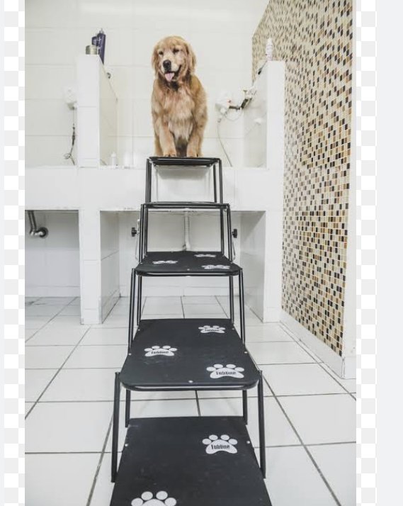 Bom Pra Cachorro Pet Shop