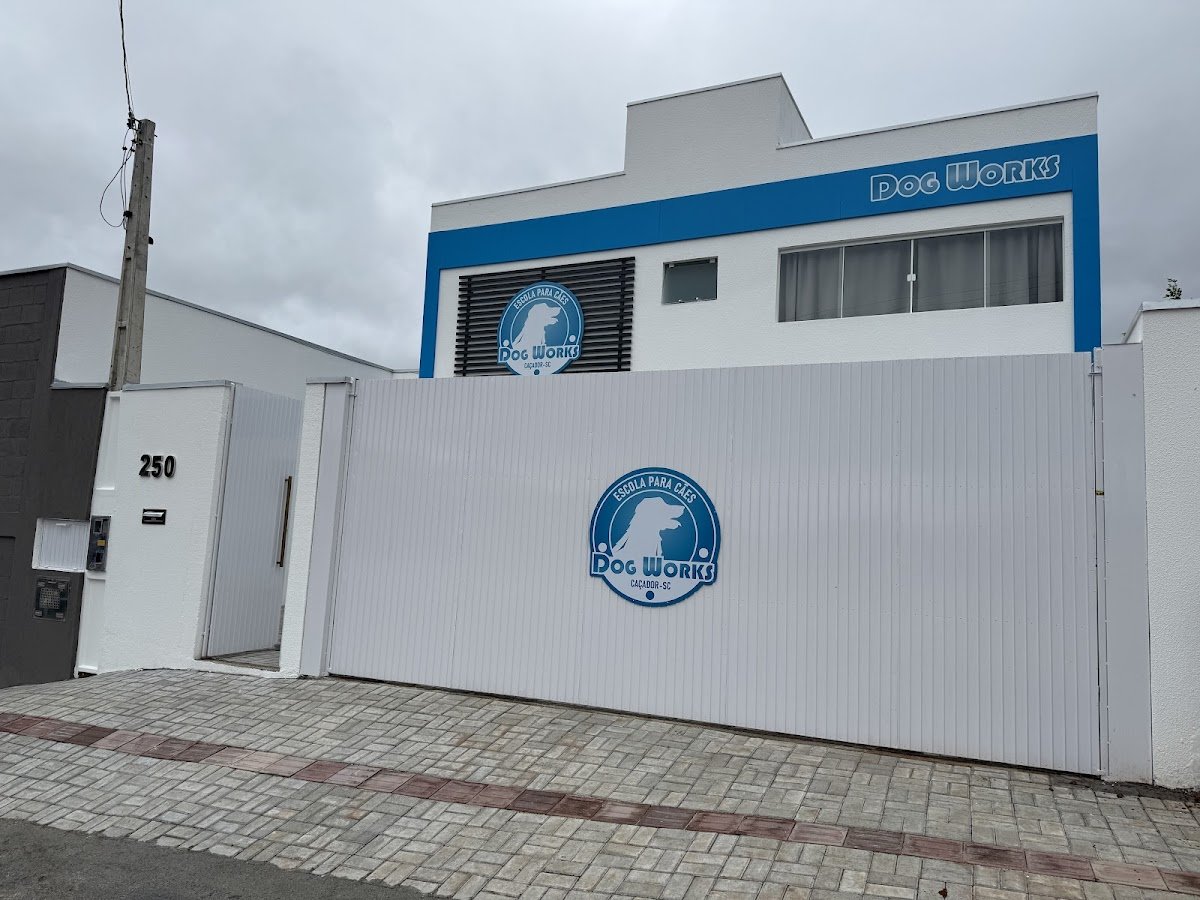 Escola Para Cães Dog Works