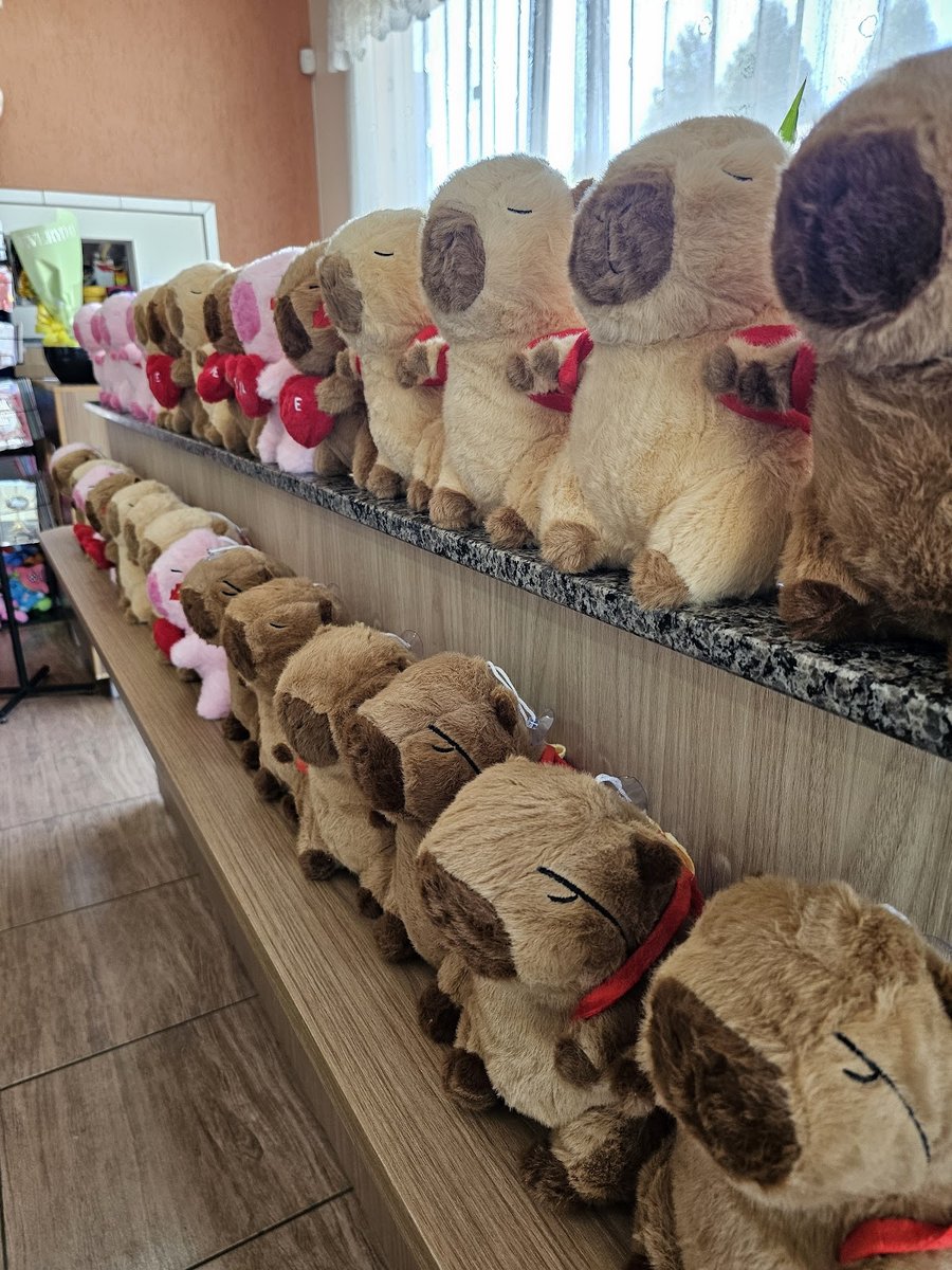 Floricultura Freisleben