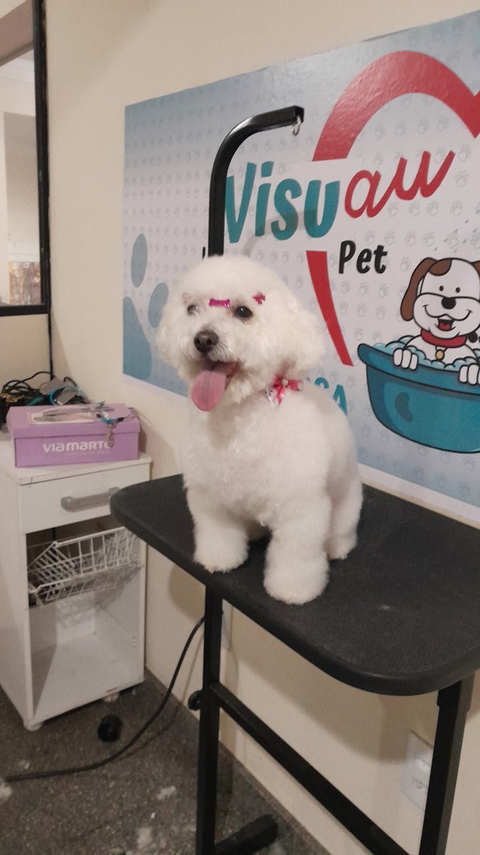 Banho e tosa_ Visuau pet