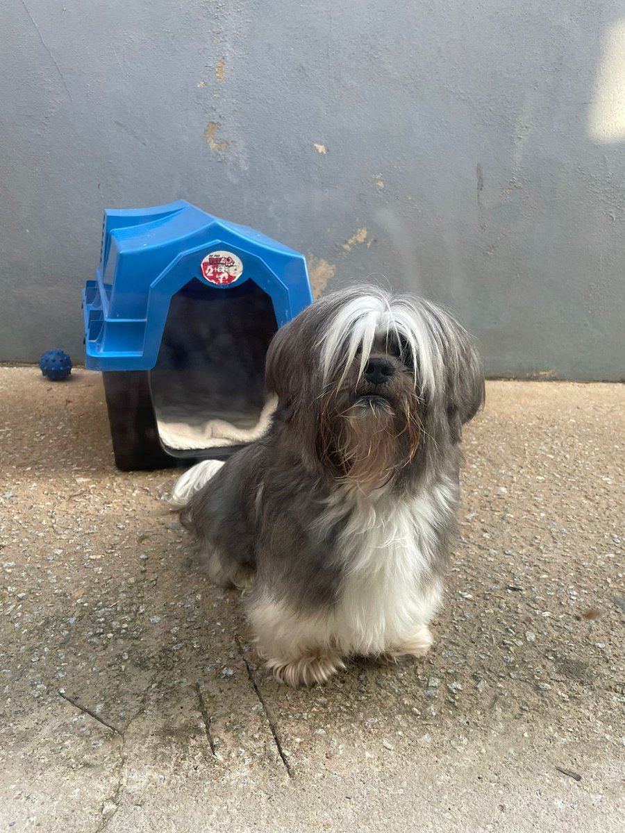 Hotel Home Pet World