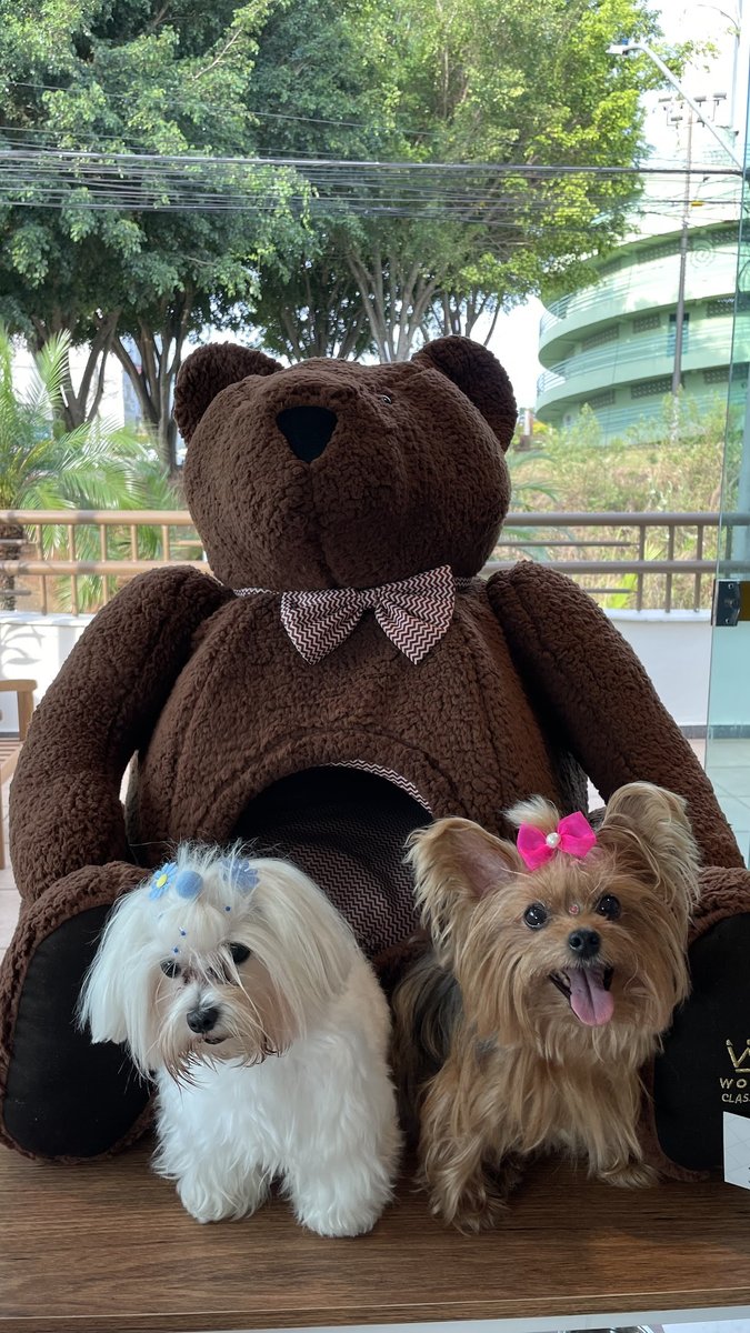 Osito Saúde & Estética Animal