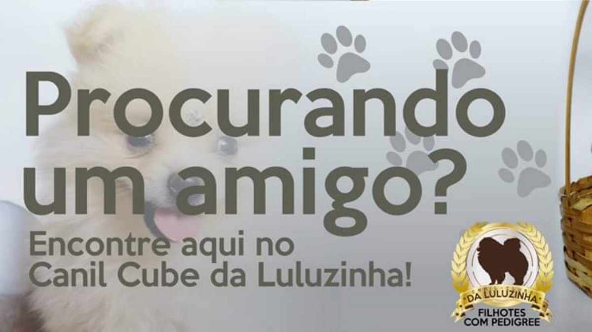 Clube da Luluzinha