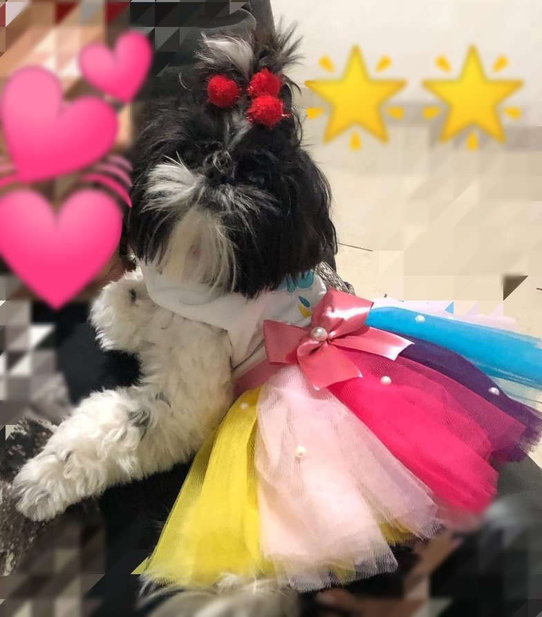 Espaço Pet Janaina Kelei