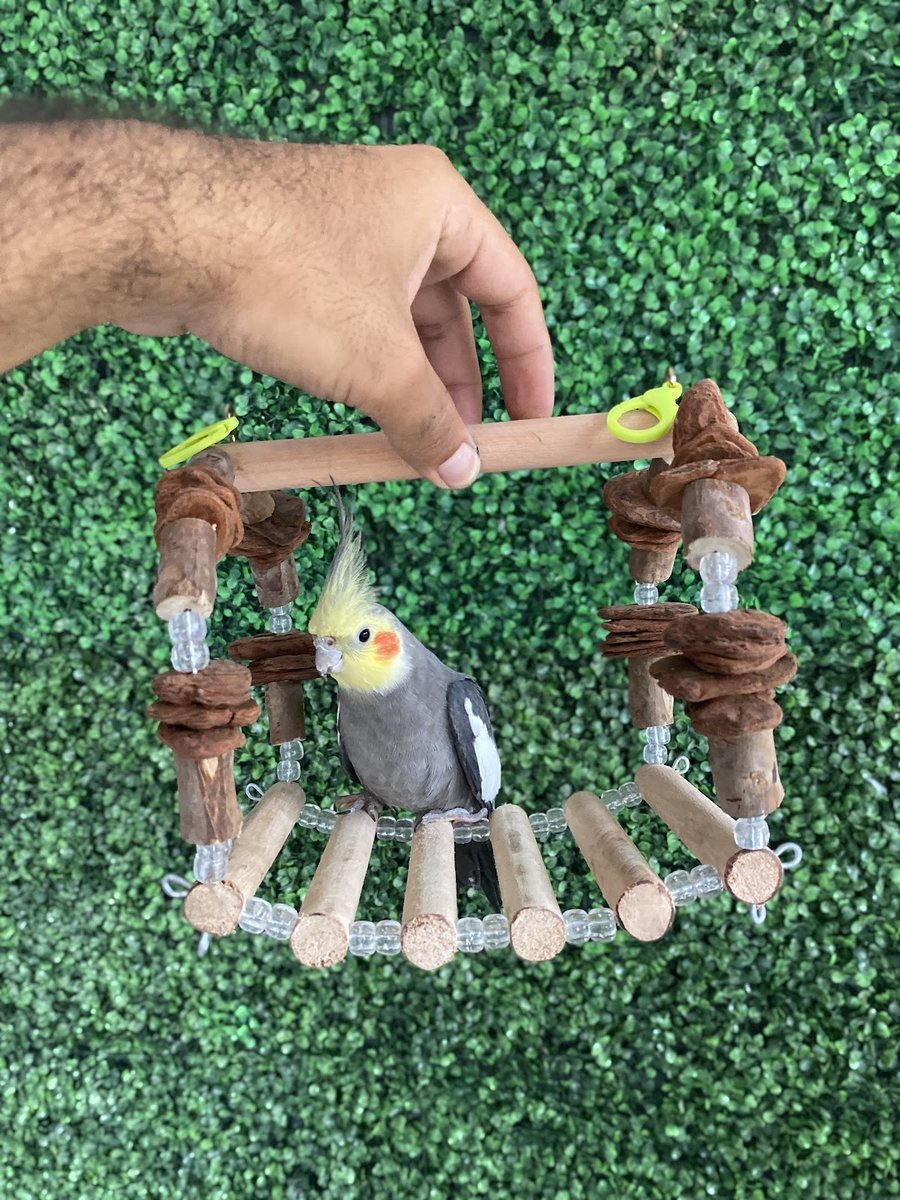 Mundo Animal Camaragibe