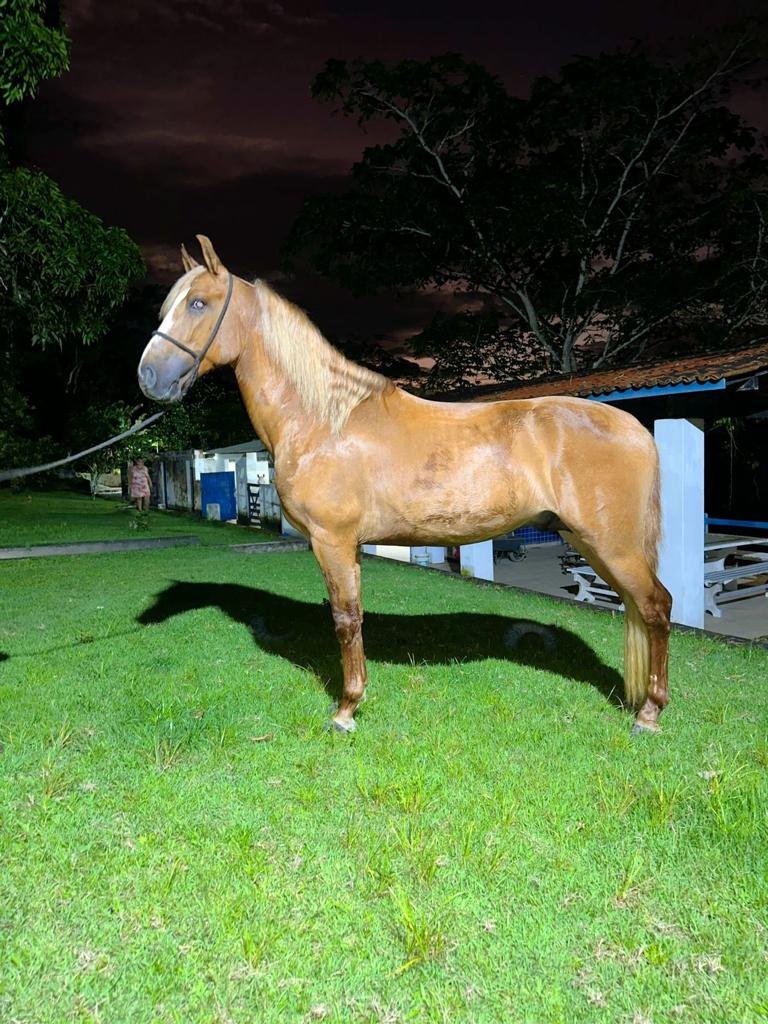 Andrade Esteves Ranch